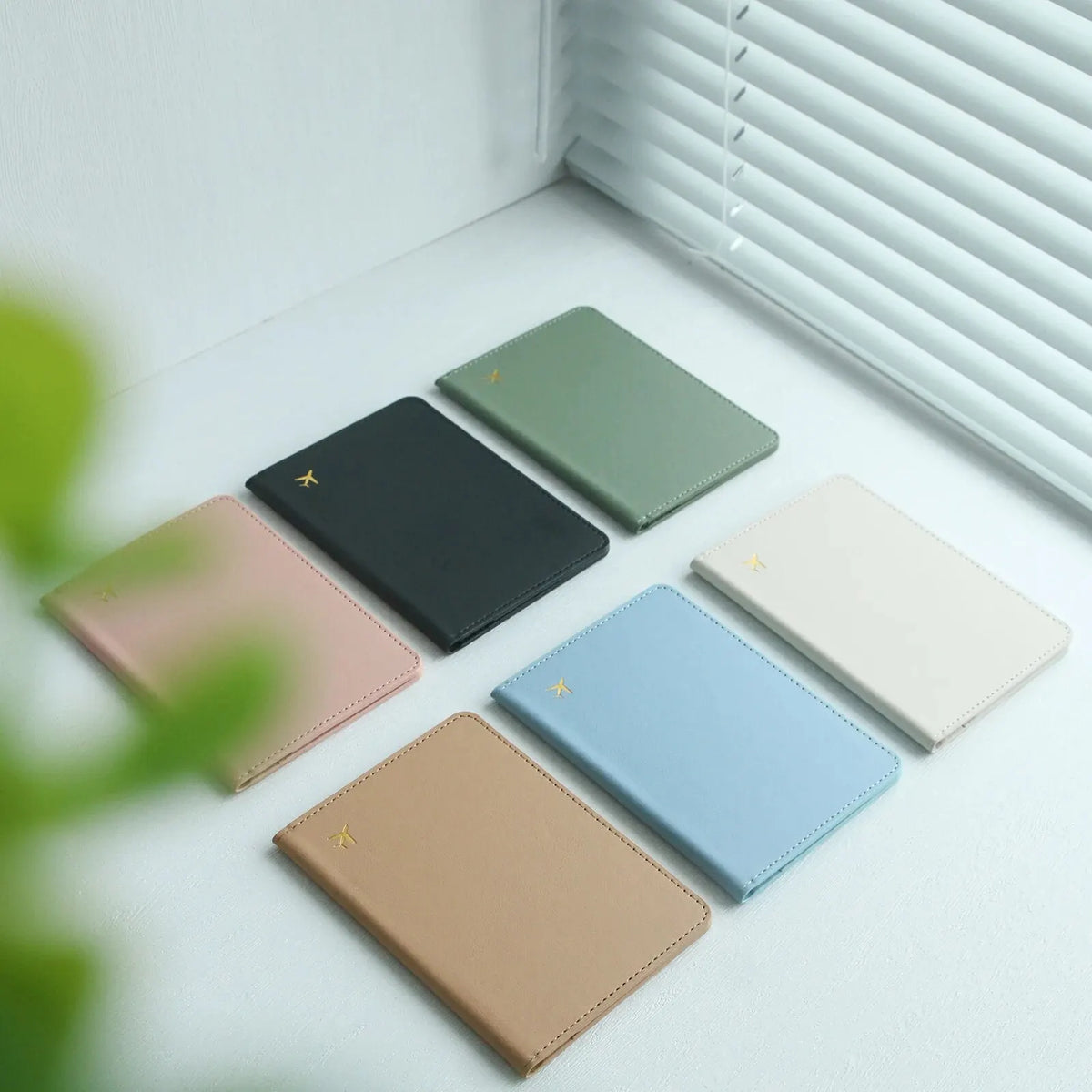 Passport Holder